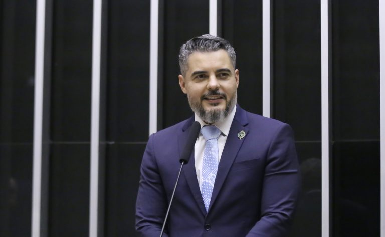 Comissão aprova regras para recuperação de áreas de vegetação atingidas por incêndio