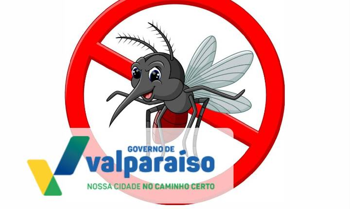 VALPARAÍSO DECLARA GUERRA À DENGUE COM TECNOLOGIA REVOLUCIONÁRIA